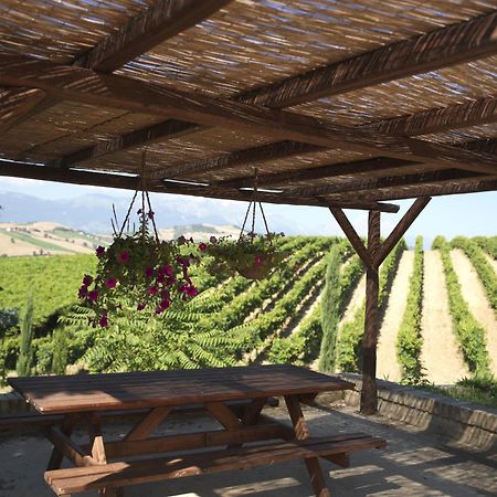 Contado San Lorenzo B&B And Wine Castilenti Exterior photo