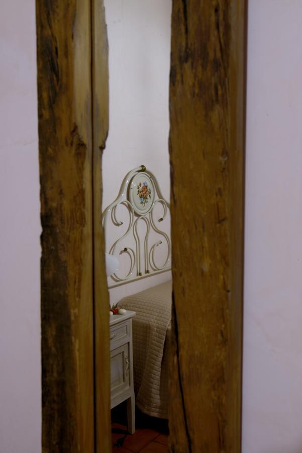 Contado San Lorenzo B&B And Wine Castilenti Exterior photo